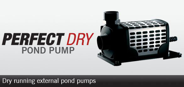  Perfect Pump Dry